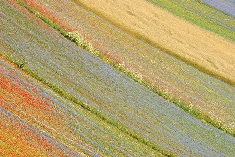 Ritagli di paesaggio con arte