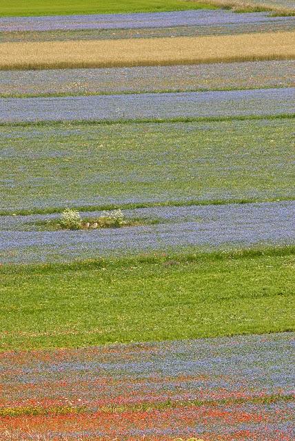 Ritagli di paesaggio con arte