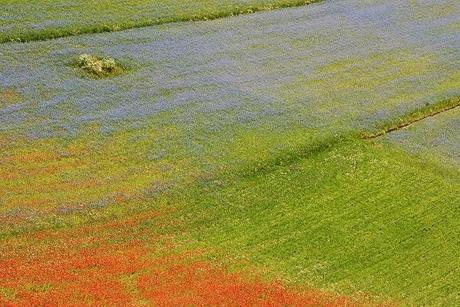 Ritagli di paesaggio con arte