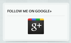 google plus default widget 2 Come inserire il Widget di Google+ su Wordpress