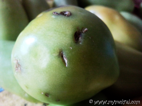 Di necessità virtù… I pomodori verdi.