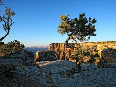 Light and shadow (at Grand Canyon)