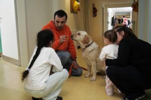 pet therapy in corsia