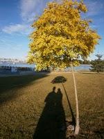 Jericho Beach and good news!