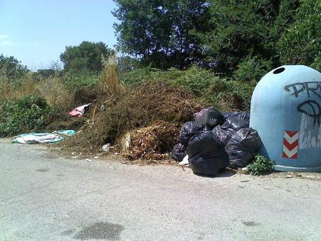 Ognuno dovrebbe fare la sua parte per mantenere l'ambiente pulito