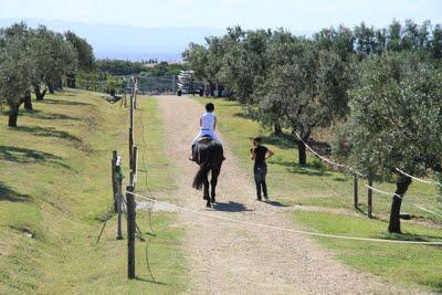 salto ostacoli vista mare