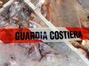 Cinisi: sequestrati 41 kg di prodotti ittici