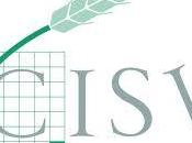 "Archivio della Generatività" (TO) CISV c'è....