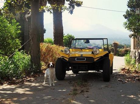 « I feel like a king in my buggy! »