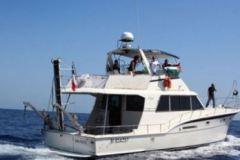 Israele contro la Gaza Freedom Flotilla II: equipaggio sequestrato e rimpatriato