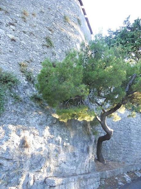 La Provenza. e vabbè ma allora diteloooo...