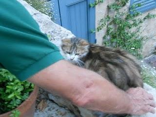 La Provenza. e vabbè ma allora diteloooo...