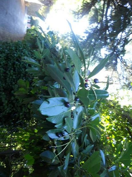 La Provenza. e vabbè ma allora diteloooo...