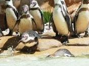 Summer 2011 Diario 28.07