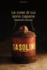 LE COSE DI CUI SONO CAPACE di Alessandro Zannoni