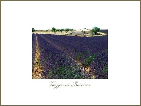 Con gli occhi pieni di LAVANDA IN FIORE { + special discount }