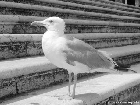 VENEZIA IN BIANCO E NERO ...