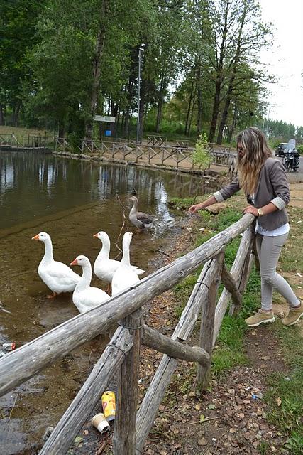 Un Pomeriggio A Gambarie