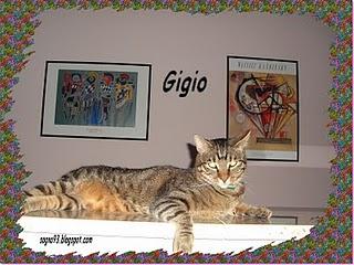 17 Febbraio :Festa Internazionale del Gatto!!!!