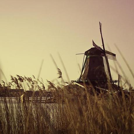 Amsterdam: zaanse-schans_7