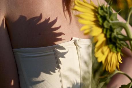 romantic Sunflowers