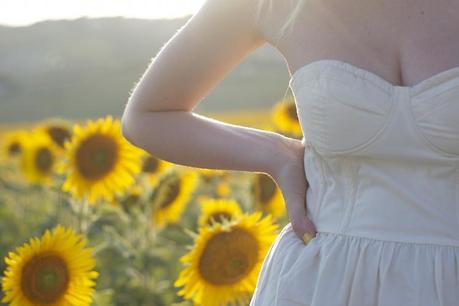 romantic Sunflowers