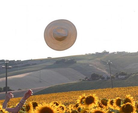 Sunflower Seeds