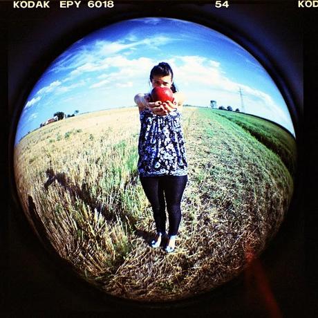 LOMOGRAPHY 