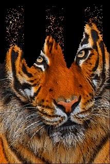 Trasforma le tue foto in granelli di sabbia con l'app Photo Beach Sculptures