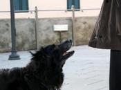 "Sulle Orme Vadis" News