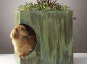 agosto abbandonare blog!