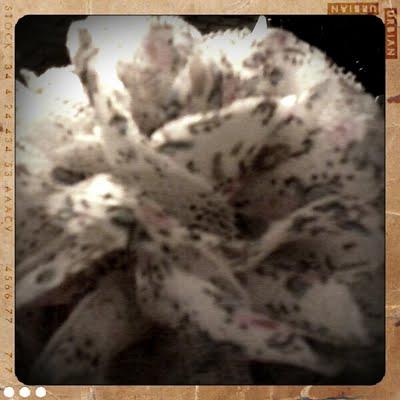 La Tribù che recita La Tribù che recita