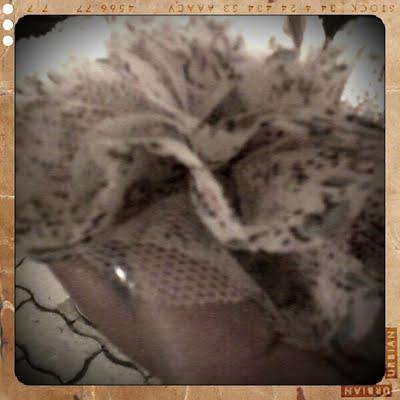 La Tribù che recita