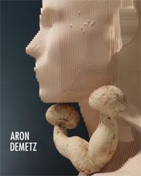 Il libro del giorno: Aron Demtez (Vannilla Edizioni)