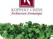 Koppert Cress