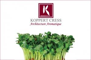 Koppert Cress