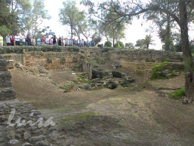 LE ROVINE DI CARTAGINE