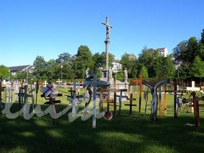 LOURDES IL VIAGGIO DELLA SPERANZA