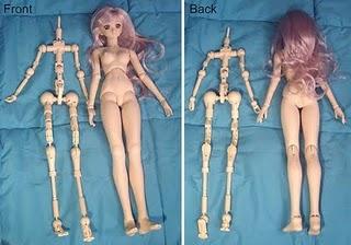 A doll’s skeleton