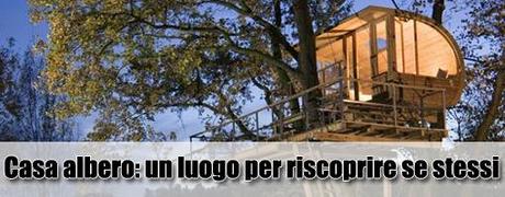 Treehotel: dormire in cima ad un albero non è mai stato così cofortevole. FOTO GALLERY
