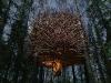 treehotel_03
