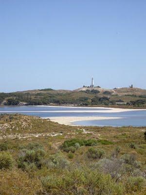 Visto da Elisa  Chisana Hoshi- Australia vol.1 (Rottnest Island)