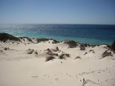 Visto da Elisa  Chisana Hoshi- Australia vol.1 (Rottnest Island)