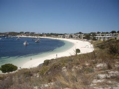 Visto da Elisa  Chisana Hoshi- Australia vol.1 (Rottnest Island)