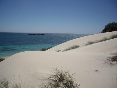 Visto da Elisa  Chisana Hoshi- Australia vol.1 (Rottnest Island)