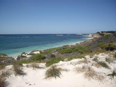 Visto da Elisa  Chisana Hoshi- Australia vol.1 (Rottnest Island)