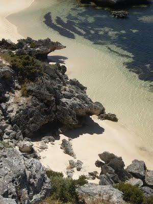 Visto da Elisa  Chisana Hoshi- Australia vol.1 (Rottnest Island)