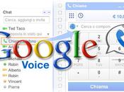 Google Voice: dopo Facebook vuole affossare Skype