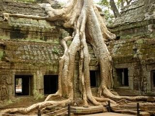 Angkor: l'ottava meraviglia del mondo