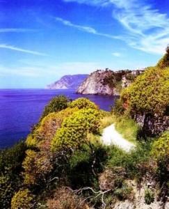 Le Cinque Terre, un’area incontaminata, un luogo di natura e profumi selvaggi